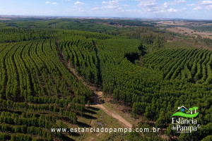 ALTO 360.00_04_41_06.Quadro013_be452856edcf7d69150377aa36454331038a2371.jpg